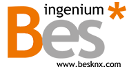 Bes
