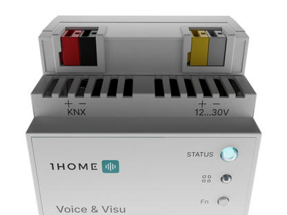 1Home Voice & Visu